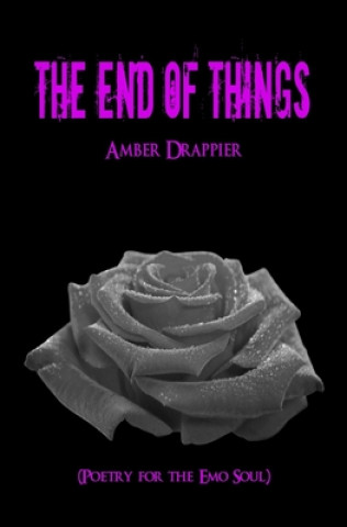 Book The End of Things Amber Drappier