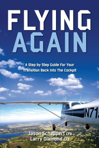 Knjiga Flying Again Larry M. Diamond