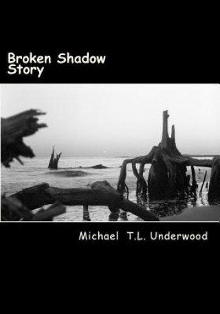 Knjiga Broken Shadow Michael Tl Underwood