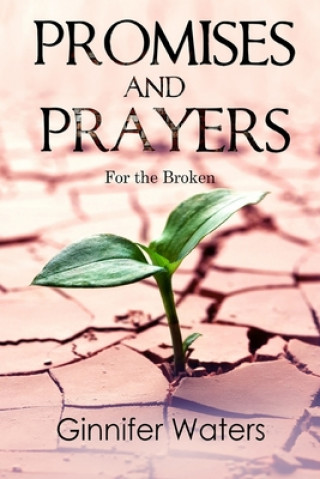 Book Promises and Prayers: for the Broken Elizabeth Swanson