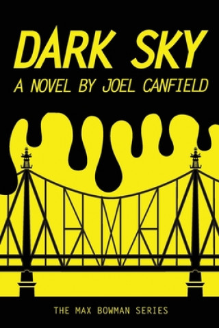 Book Dark Sky Lisa Canfield