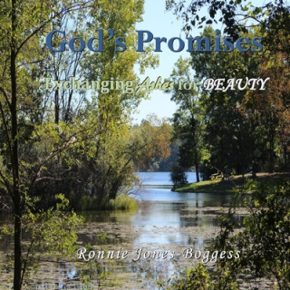 Knjiga God's Promises: exchanging ashes for beauty Ronnie Jones Boggess