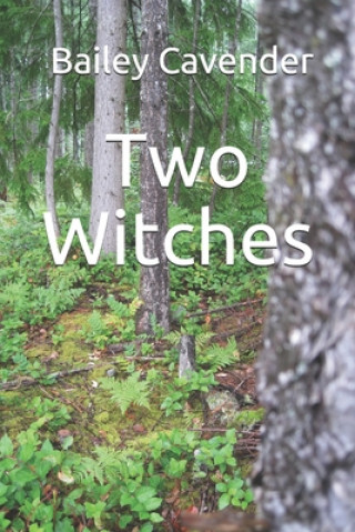 Knjiga Two Witches Bailey Cavender
