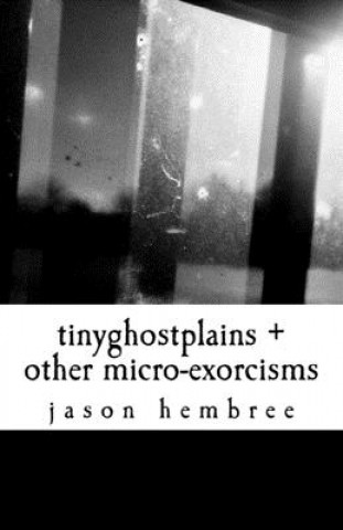 Kniha tinyghostplains + other micro-exorcisms Jason Hembree