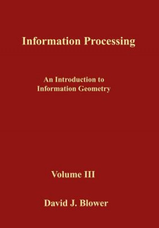 Kniha Information Processing: An Introduction to Information Geometry David J. Blower