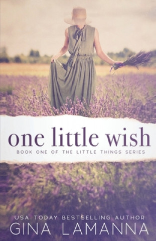 Kniha One Little Wish: a romantic suspense novel Gina Lamanna