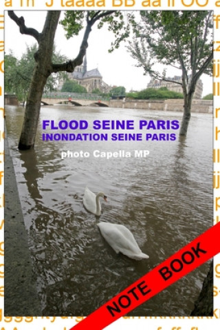 Könyv Inondation Seine Paris 2016: Flood Seine Paris Capella Mp