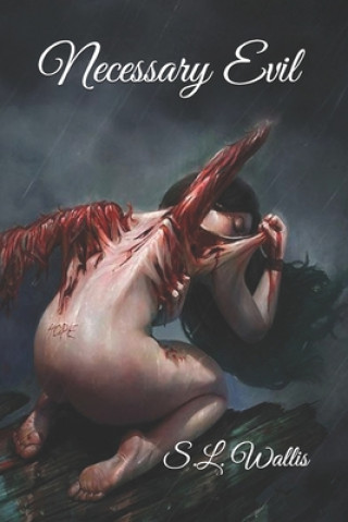 Livro Necessary Evil Shawn Wallis