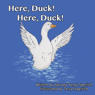 Kniha Here, Duck! Here, Duck Terryl Sperlich