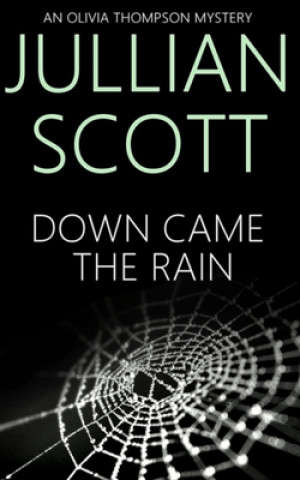Book Down Came the Rain Jullian Scott