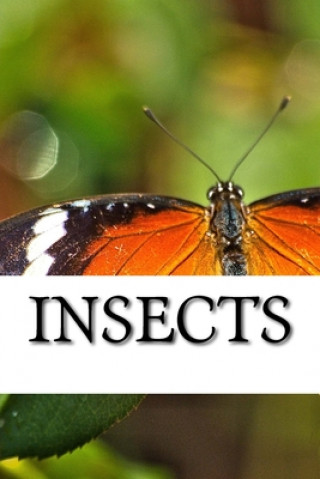 Buch Insects Insect