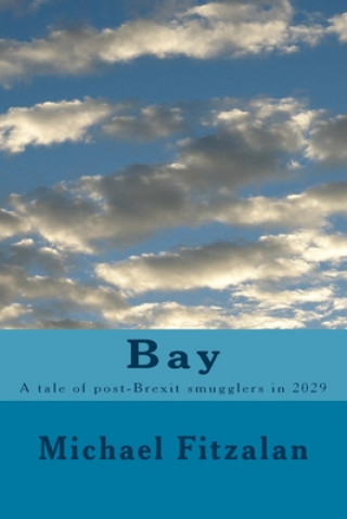 Libro Bay Michael Fitzalan