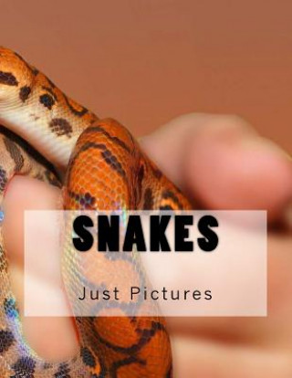 Carte Snakes Just Pictures