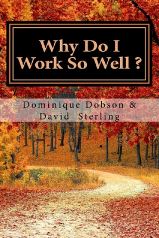 Knjiga Why Do I Work So Well?: Just Keep Going David K. Sterling
