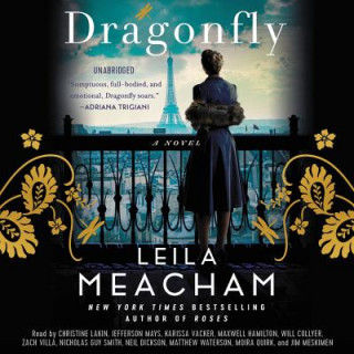 Audio Dragonfly Leila Meacham