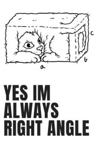 Knjiga Yes Im Always Right Angle Independent Publishing