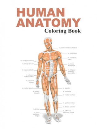Carte Human Anatomy Coloring Book: The Anatomy Coloring Book Fk Publishing