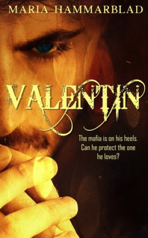 Buch Valentin Maria Hammarblad