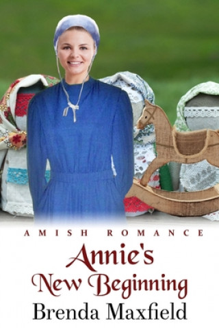 Knjiga Annie's New Beginning Brenda Maxfield