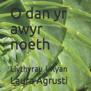 Kniha O dan yr awyr noeth: Llythyrau i Ryan Laura Agrusti