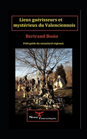 Kniha Les lieux guérisseurs et mystérieux du Valenciennois Bertrand Bosio