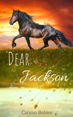 Knjiga Dear Jackson Carynn M. Bohley