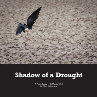 Knjiga Shadow of a Drought Mark Yokoyama