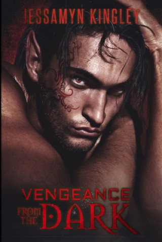 Knjiga Vengeance From The Dark Jessamyn Kingley