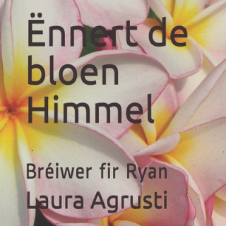 Kniha Ënnert de bloen Himmel: Bréiwer fir Ryan Laura Agrusti