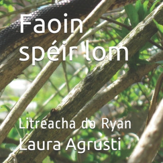 Kniha Faoin spéir lom: Litreacha do Ryan Laura Agrusti