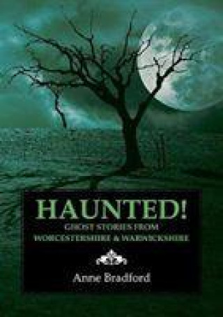 Könyv Haunted! Anne Bradford