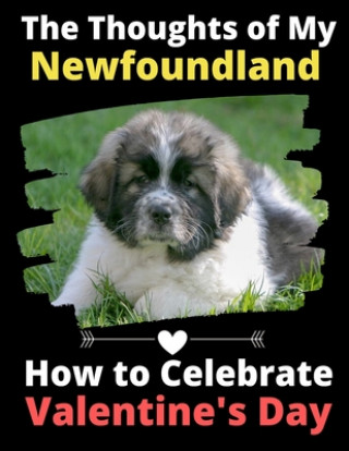 Książka The Thoughts of My Newfoundland: How to Celebrate Valentine's Day Brightview Activity Books