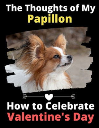 Buch Thoughts of My Papillon Brightview Activity Books