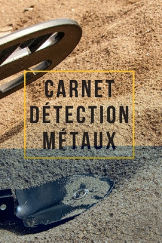 Könyv Carnet Détection Métaux: Carnet de détection de métaux pour les amateurs des trésors - 120 Pages Nullpixel Press