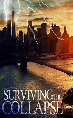 Book Surviving the Collapse James Hunt