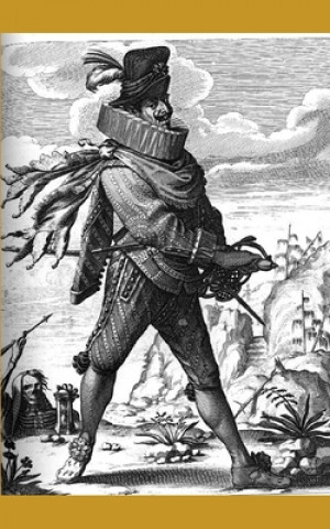 Book Le Capitaine Fracasse Theophile Gautier