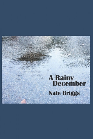 Knjiga A Rainy December Nate Briggs