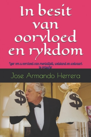 Kniha In besit van oorvloed en rykdom: Leer om u oorvloed van mentaliteit, welstand en welvaart te ontsyfer Jose Armando Herrera