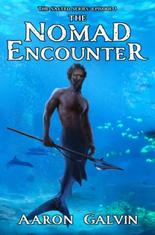 Boek The Nomad Encounter Aaron Galvin