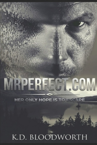 Könyv MrPerfect.com K. D. Bloodworth