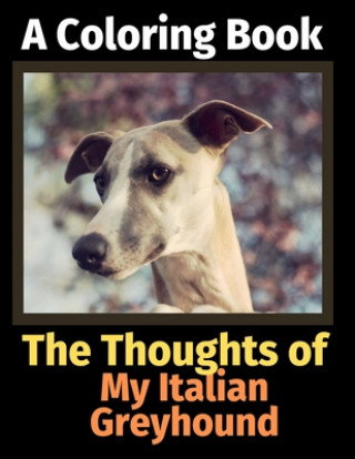 Kniha Thoughts of My Italian Greyhound Brightview Activity Books