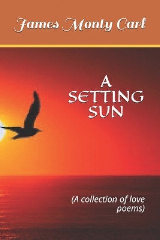 Boek A Setting Sun: A collection of love poems Kehinde Ridhwan Akinbola
