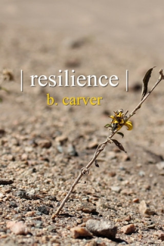 Книга resilience Blair Carver