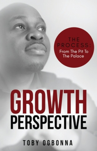 Buch Growth Perspective: The Process From The Pit To The Palace Toby Ogbonna