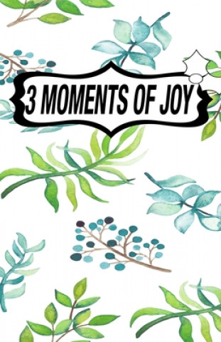 Kniha 3 Moments of Joy: Daily Reflection and Memories Book Grattitude Journal