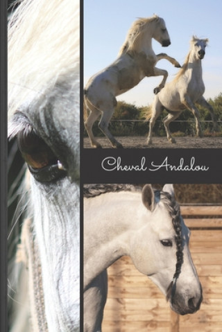 Kniha Cheval Andalou Mon Cheval Et Moi Editions