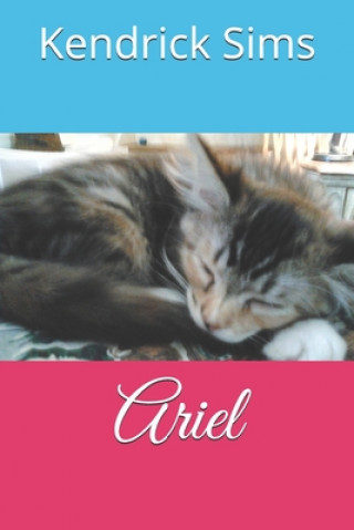 Boek Ariel Kendrick Sims