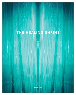 Boek The Healing Shrine Benjamin Weissman