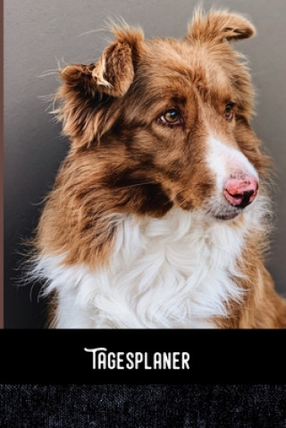 Книга Tagesplaner: Border Collie - Tagesorganizer für mehr Gelassenheit im Alltag / Training - Mahlzeitnotiz - Einkauf - To Do's - Termin Zestya Tagesorganizer