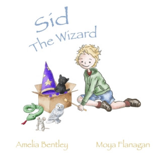 Knjiga Sid The Wizard Moya Flanagan